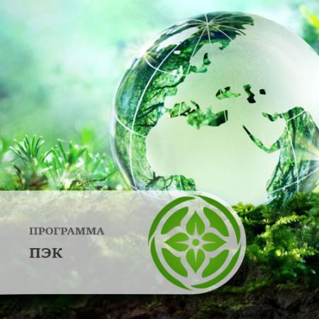 Программа производственного экологического контроля (ПЭК)